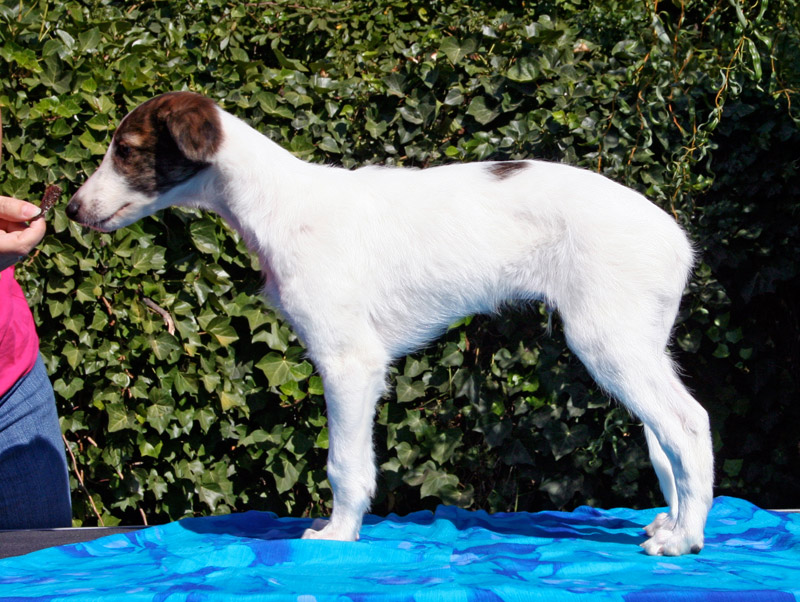 Surf Spots - Boy 1 Left